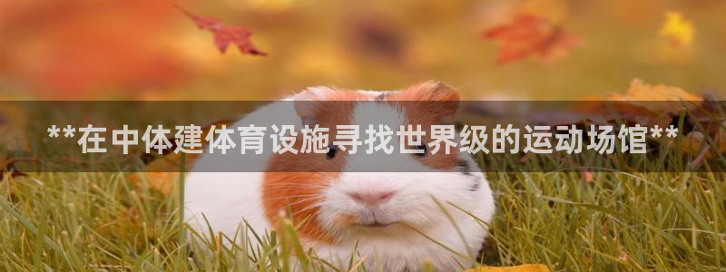 意昂体育3平台假的吗是真的吗吗：**在中体建体育设施