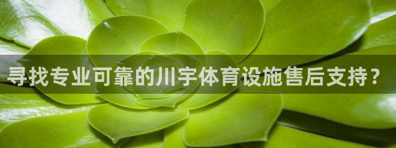 意昂集团官网：寻找专业可靠的川宇体育设施售后支持？