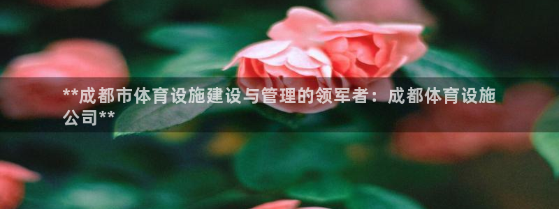 意昂3娱乐平台：**成都市体育设施建设与管理的领军者