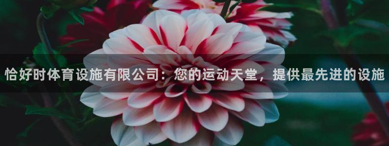 意昂体育3招商电话是多少啊：恰好时体育设施有限公司：