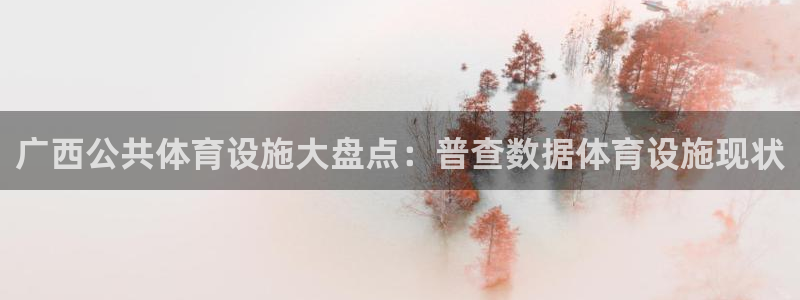 意昂3集团：广西公共体育设施大盘点：普查数据体育设施