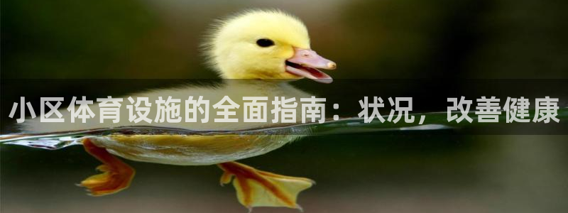 意昂体育3平台假的吗是真的吗吗：小区体育设施的全面指