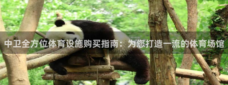 意昂集团官网：中卫全方位体育设施购买指南：为您打造一