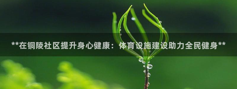 意昂体育3招商电话：**在铜陵社区提升身心健康：体育