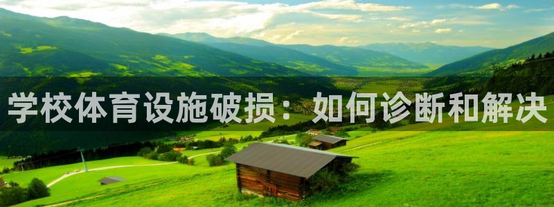 意昂3娱乐平台：学校体育设施破损：如何诊断和解决
