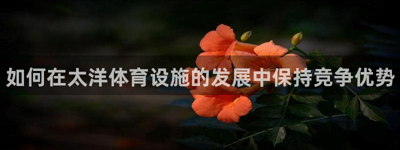 意昂体育3娱乐：如何在太洋体育设施的发展中保持竞争优