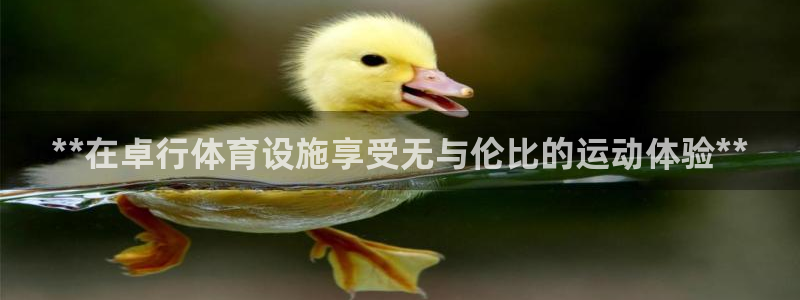 海南意昂体育3：**在卓行体育设施享受无与伦比的运动