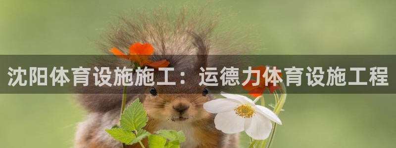 意昂体育3招商电话号码查询是多少：沈阳体育设施施工：