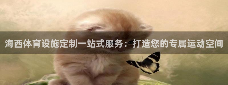 意昂体育3联系电话：海西体育设施定制一站式服务：打造