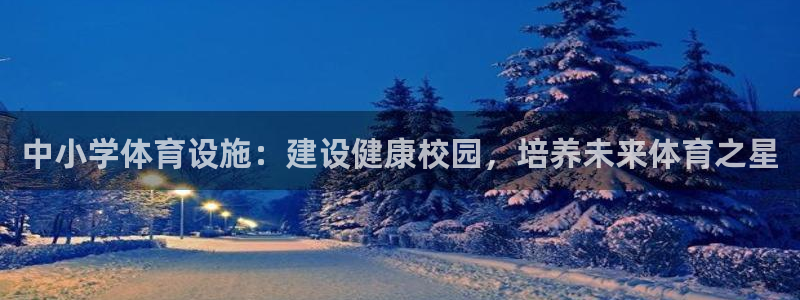 意昂体育3平台注册要钱吗是真的吗：中小学体育设施：建