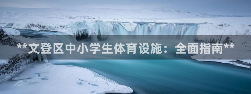 意昂集团官网：**文登区中小学生体育设施：全面指南*