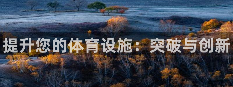 意昂体育3平台注册要钱吗：提升您的体育设施：突破与创