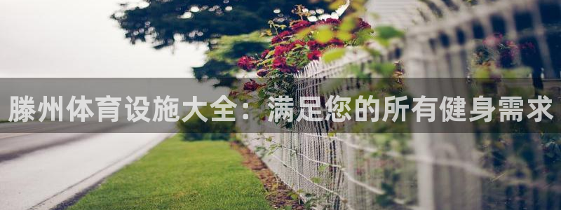 意昂3科技：滕州体育设施大全：满足您的所有健身需求