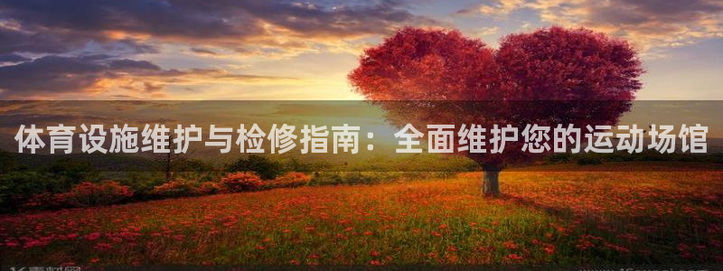 意昂体育3平台注册流程图：体育设施维护与检修指南：全