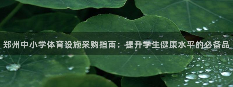 意昂体育3招商电话号码查询：郑州中小学体育设施采购指