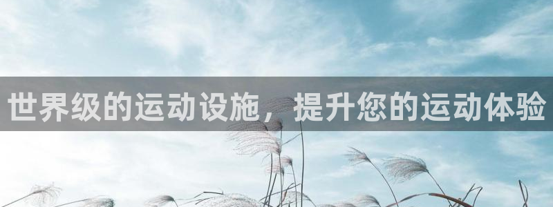 意昂体育3是干嘛的公司：世界级的运动设施，提升您的运