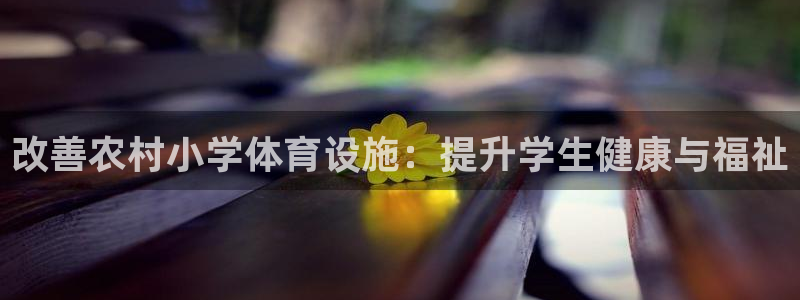 意昂3神州：改善农村小学体育设施：提升学生健康与福祉