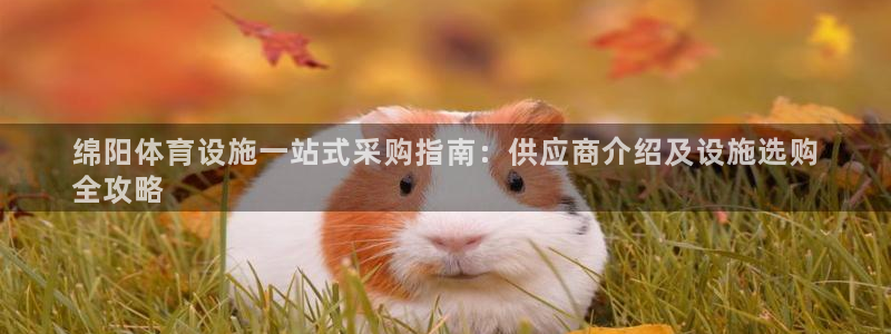 意昂3娱乐网站：绵阳体育设施一站式采购指南：供应商介