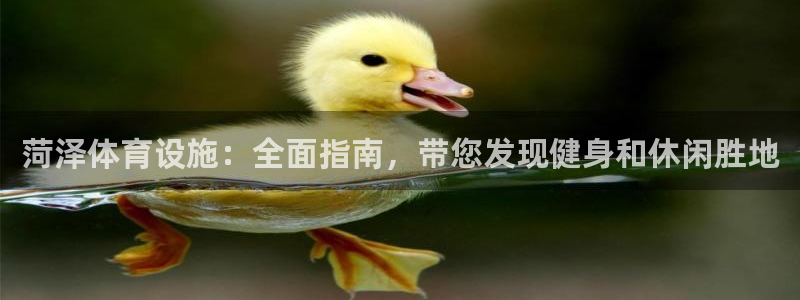 意昂体育3开户：菏泽体育设施：全面指南，带您发现健身