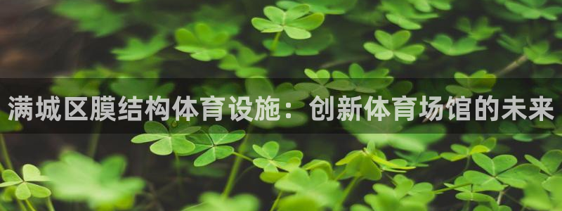 意昂3官方：满城区膜结构体育设施：创新体育场馆的未来