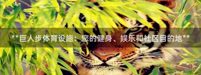 意昂体育3娱乐：**巨人步体育设施：您的健身、娱乐和