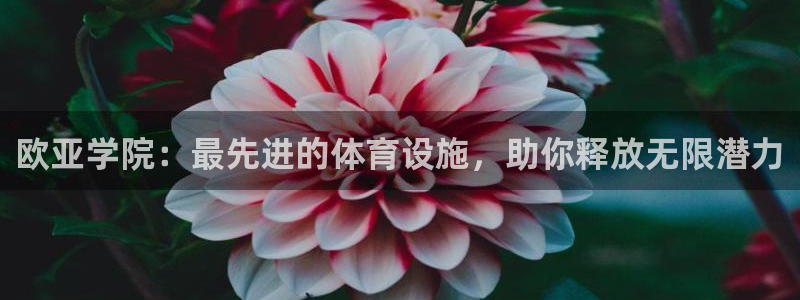 意昂平台体育：欧亚学院：最先进的体育设施，助你释放无