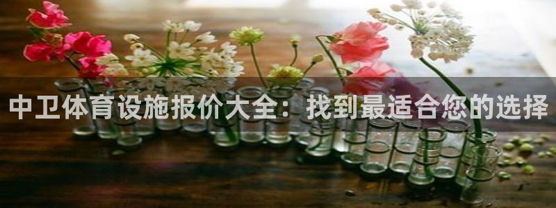 意昂体育3软件：中卫体育设施报价大全：找到最适合您的