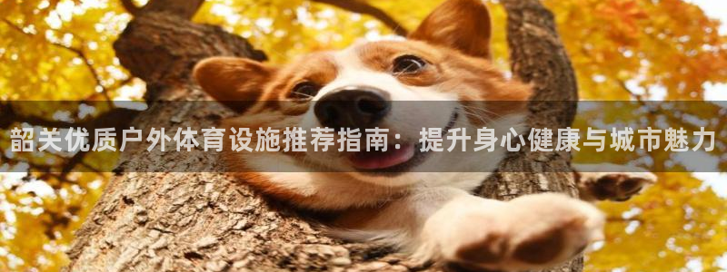 意昂体育3娱乐：韶关优质户外体育设施推荐指南：提升身