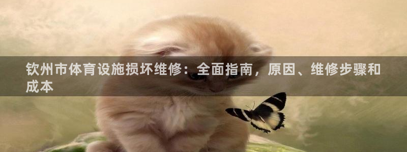 意昂体育3招商电话地址是多少：钦州市体育设施损坏维修