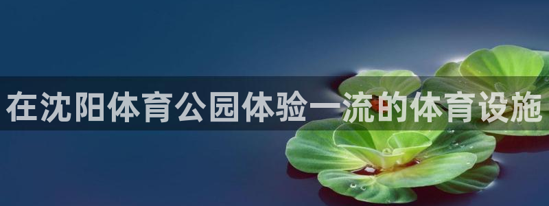意昂3集团官网首页：在沈阳体育公园体验一流的体育设施