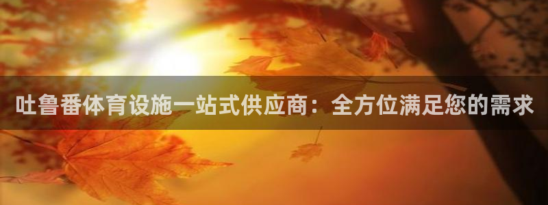 意昂3娱乐平台：吐鲁番体育设施一站式供应商：全方位满