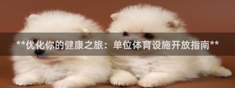 意昂3娱乐代理怎么样：**优化你的健康之旅：单位体育