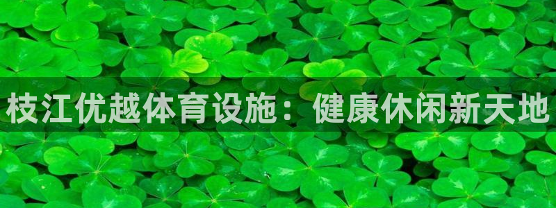意昂体育3招商：枝江优越体育设施：健康休闲新天地
