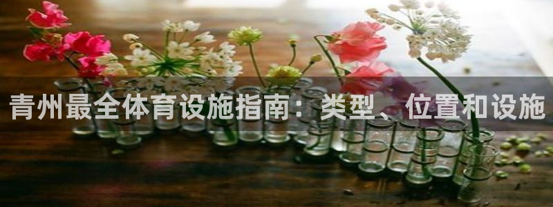 意昂集团官网：青州最全体育设施指南：类型、位置和设施