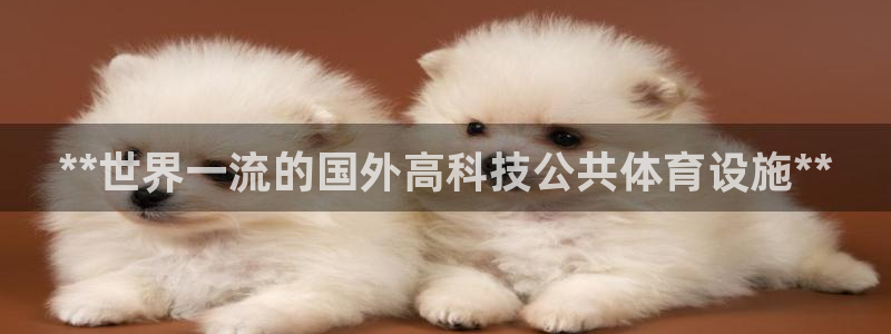 意昂3集团简介：**世界一流的国外高科技公共体育设施