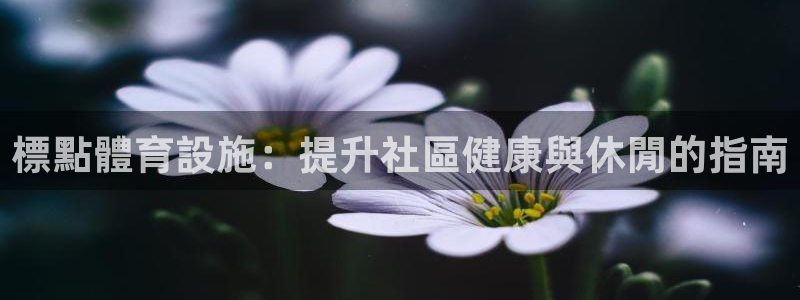 意昂体育3软件：標點體育設施：提升社區健康與休閒的指