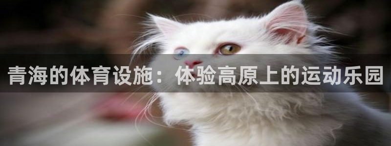 意昂3娱乐是那个系列的台子：青海的体育设施：体验高原