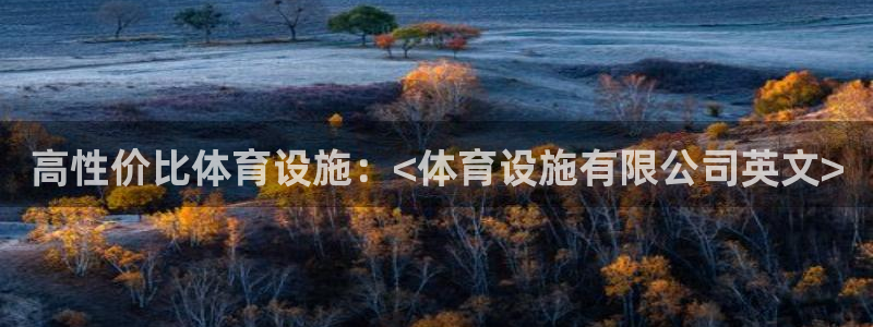 意昂3科技：高性价比体育设施：<体育设施有限公司英文