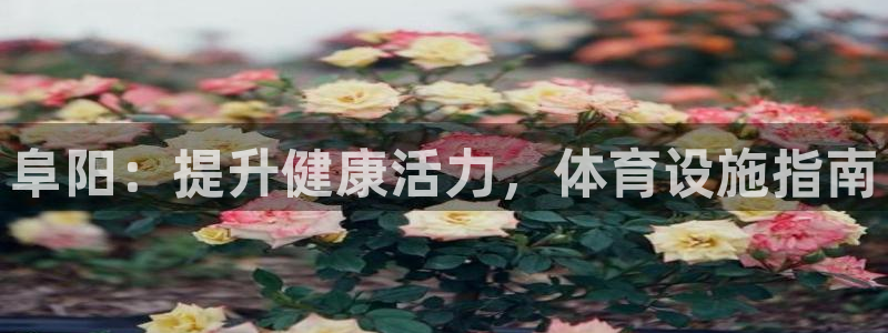 意昂3娱乐首页官网下载：阜阳：提升健康活力，体育设施