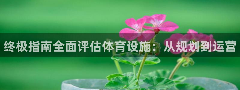 意昂3娱乐下载：终极指南全面评估体育设施：从规划到运