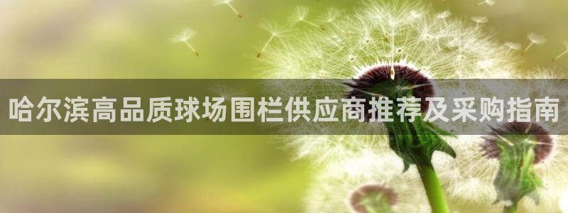 意昂体育3招商电话号码查询：哈尔滨高品质球场围栏供应