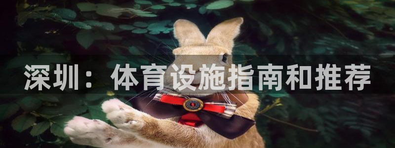 意昂3集团简介：深圳：体育设施指南和推荐