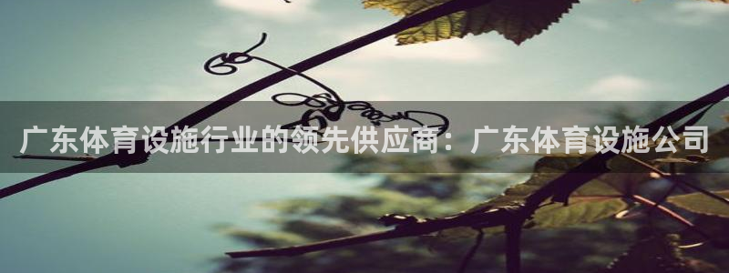 意昂体育3招商电话是多少啊：广东体育设施行业的领先供