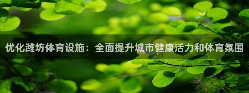 意昂体育3招商电话号码：优化潍坊体育设施：全面提升城