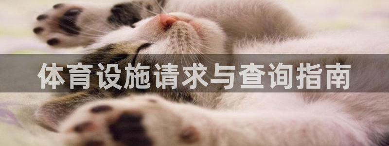 意昂体育3是干嘛的公司：体育设施请求与查询指南