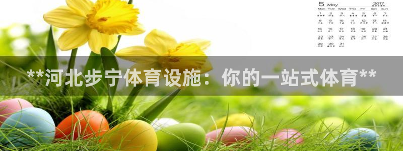 意昂3官方：**河北步宁体育设施：你的一站式体育**