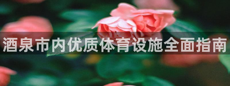 意昂体育3：酒泉市内优质体育设施全面指南
