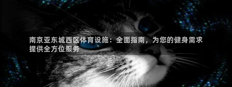 意昂体育3是干嘛的公司：南京亚东城西区体育设施：全面
