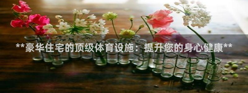 意昂体育3招商电话是多少啊：**豪华住宅的顶级体育设