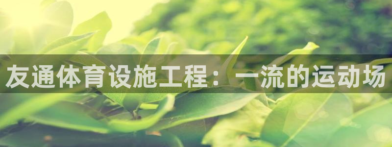 意昂3集团logo：友通体育设施工程：一流的运动场